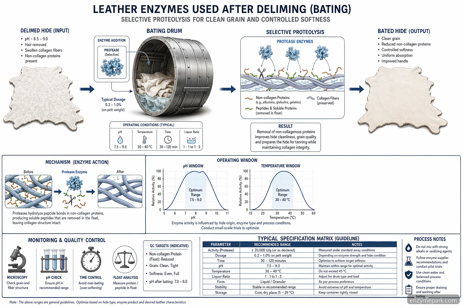leather enzymes bating process diagram showing post-deliming enzyme action, pH-temperature window, and QC checks